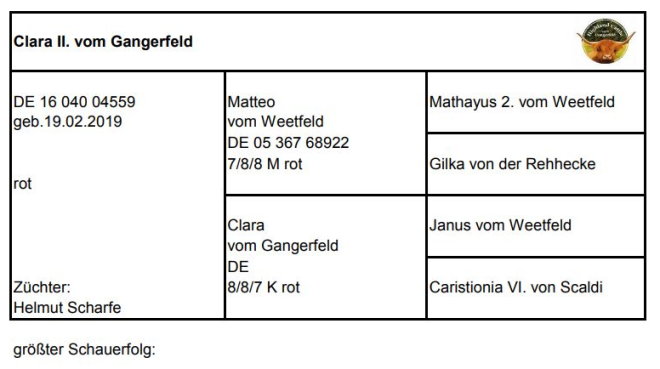 Pedigree Clara II. vom Gangerfeld