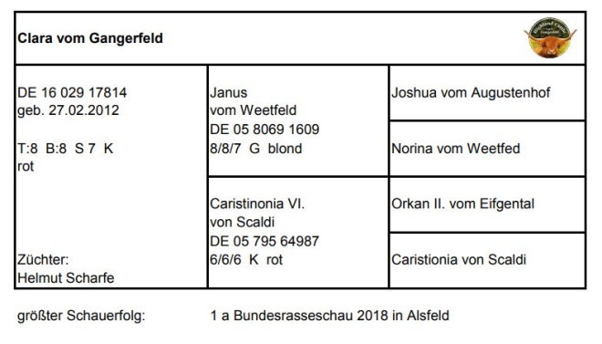 Pedigree Clara vom Gangerfeld