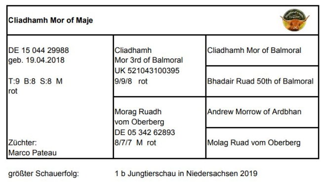 Pedigree Cliadhamh Mor of Maje