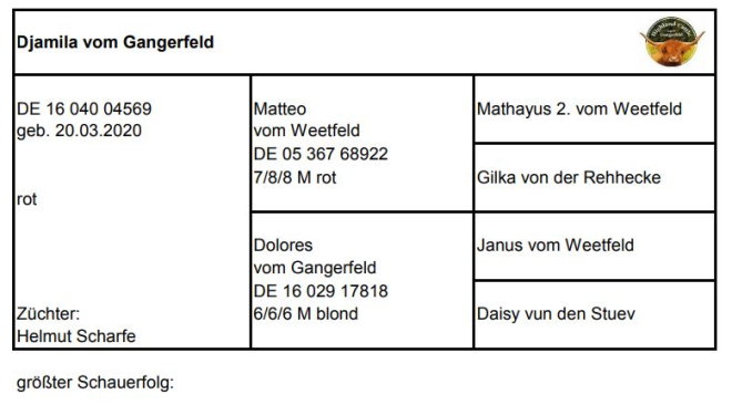 Pedigree Djamila vom Gangerfeld