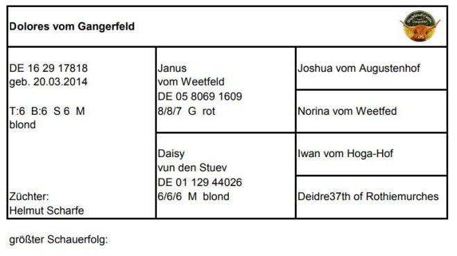 Pedigree Dolores vom Gangerfeld