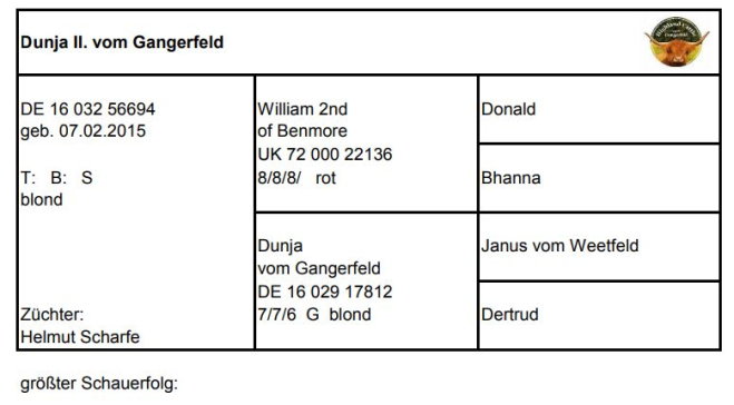 Pedigree Dunja II. vom Gangerfeld