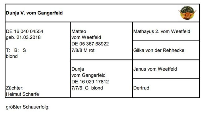 Pedigree Dunja V. vom Gangerfeld