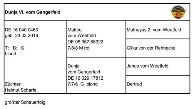 Pedigree Dunja VI. vom Gangerfeld