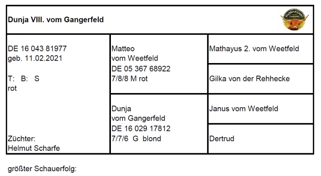 Pedigree Dunja VIII. vom Gangerfeld