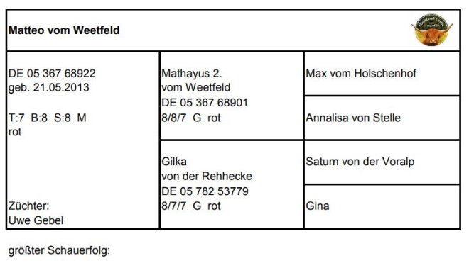 Pedigree Matteo von Weetfeld