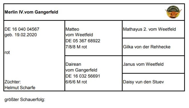 Pedigree Merlin IV. vom Gangerfeld