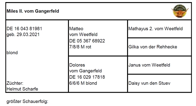 Pedigree Miles II. vom Gangerfeld