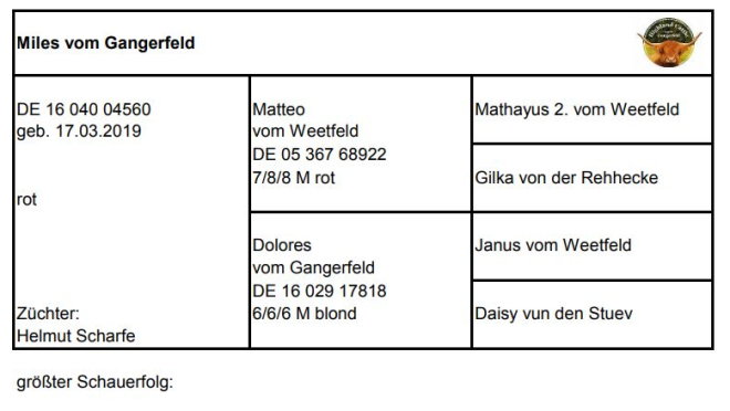 Pedigree Miles vom Gangerfeld