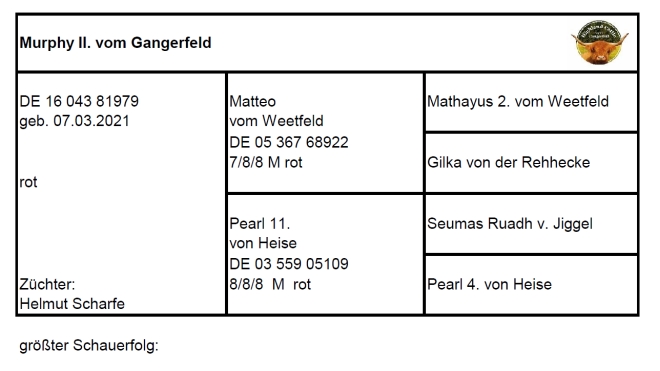 Pedigree Murphy II. vom Gangerfeld