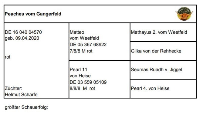 Pedigree Peaches vom Gangerfeld